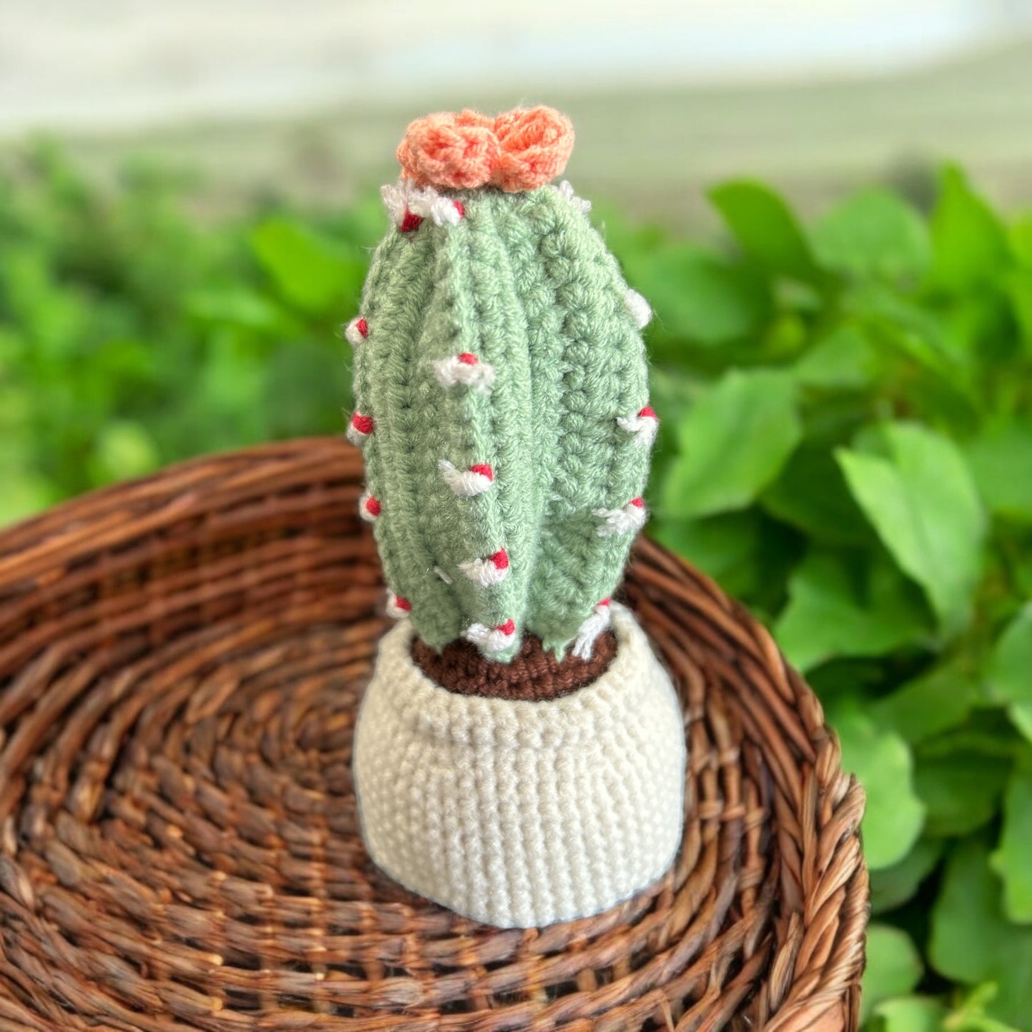 Crochet amigurumi Cactus