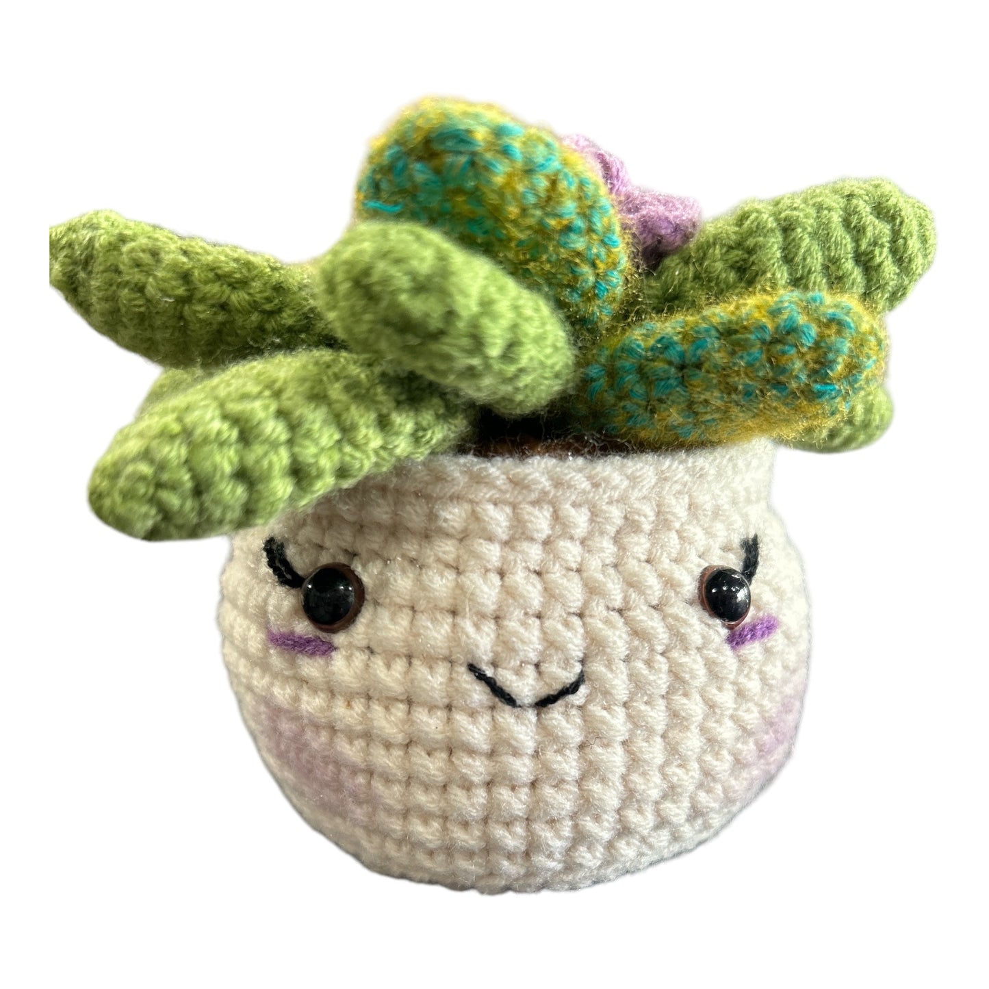 Crochet Amigurumi plant