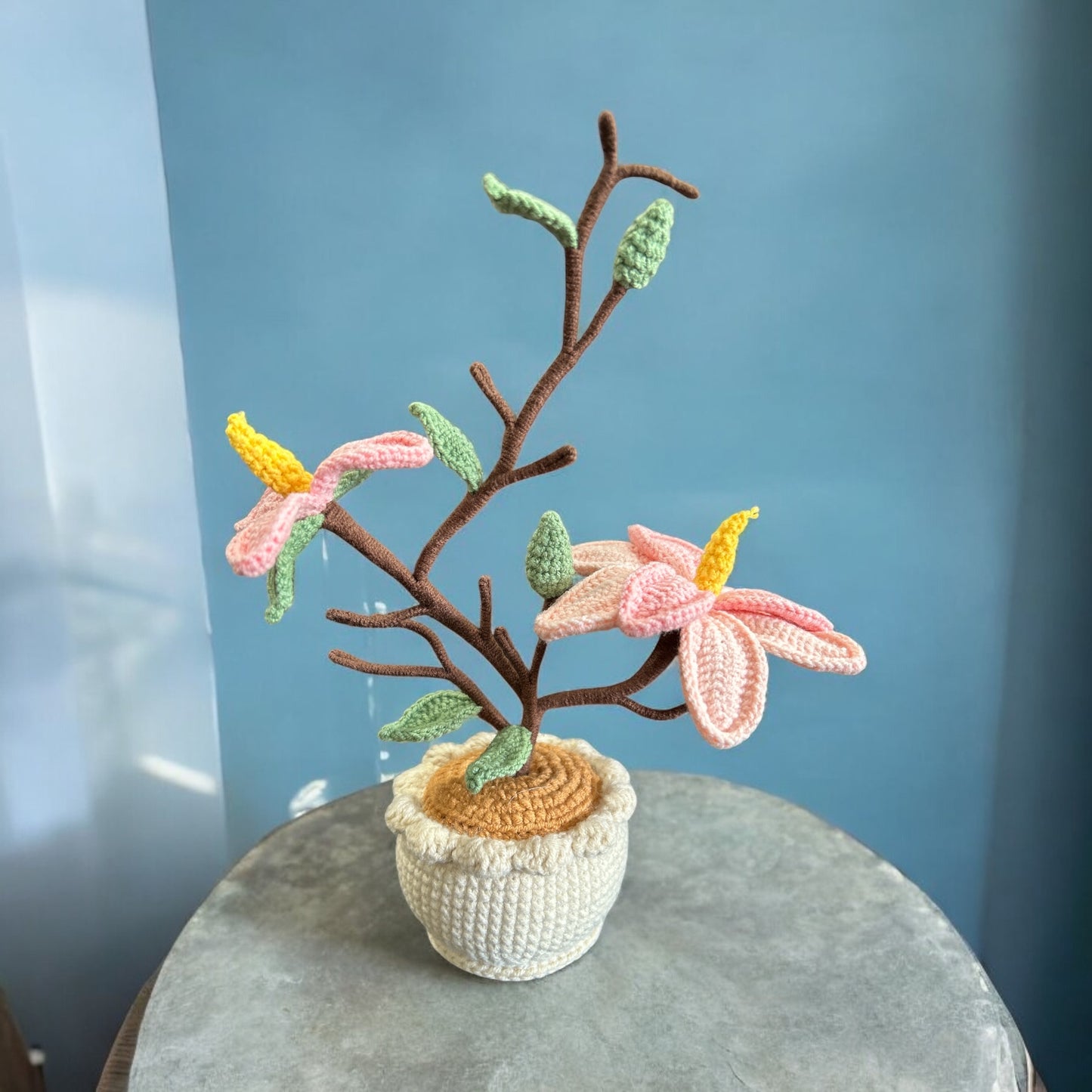 Crochet Plant