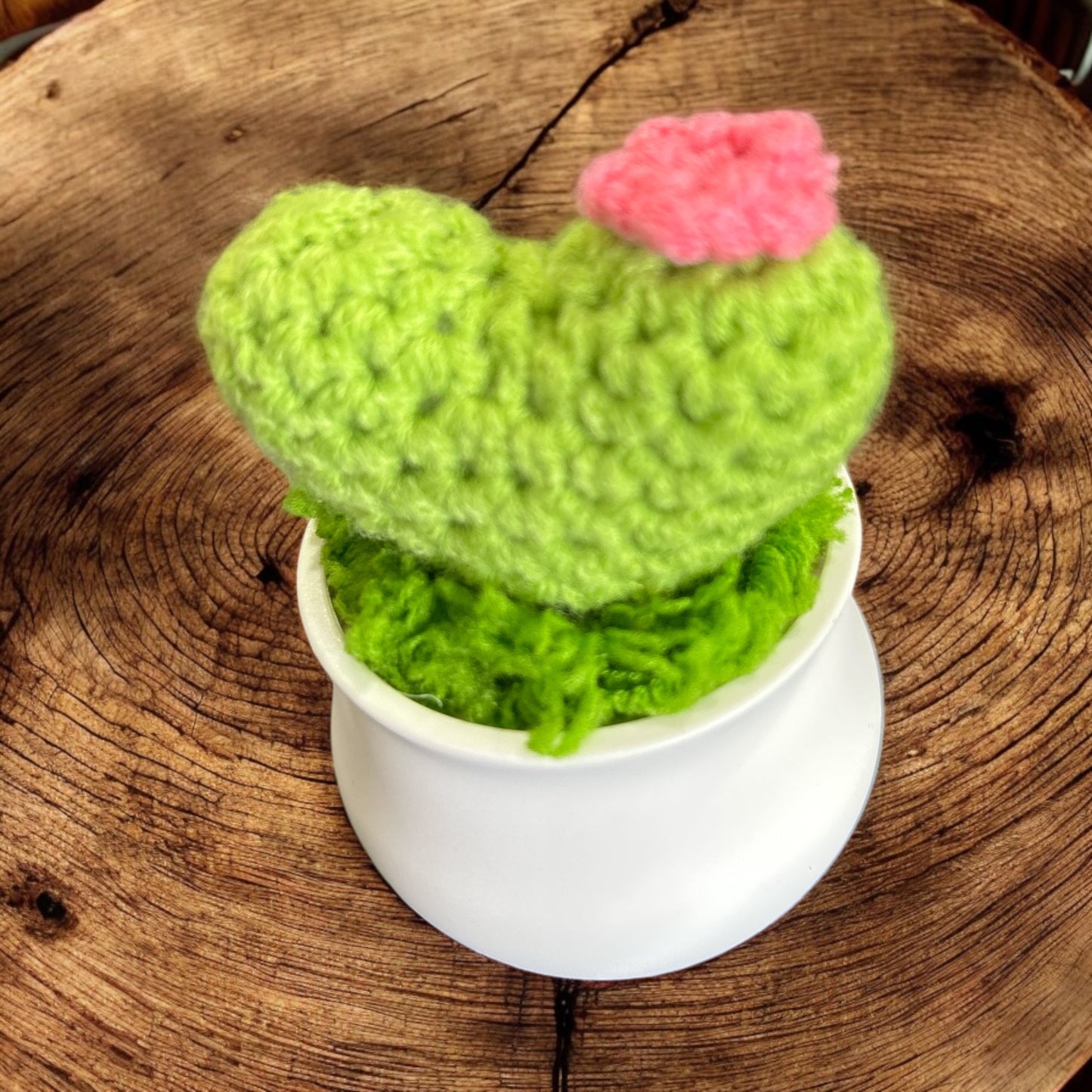 Crochet amigurumi Cactus