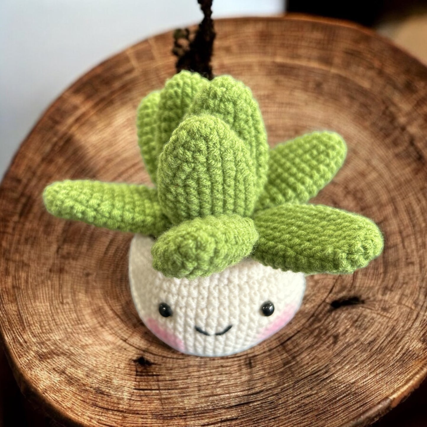 Crochet Amigurumi Cactus