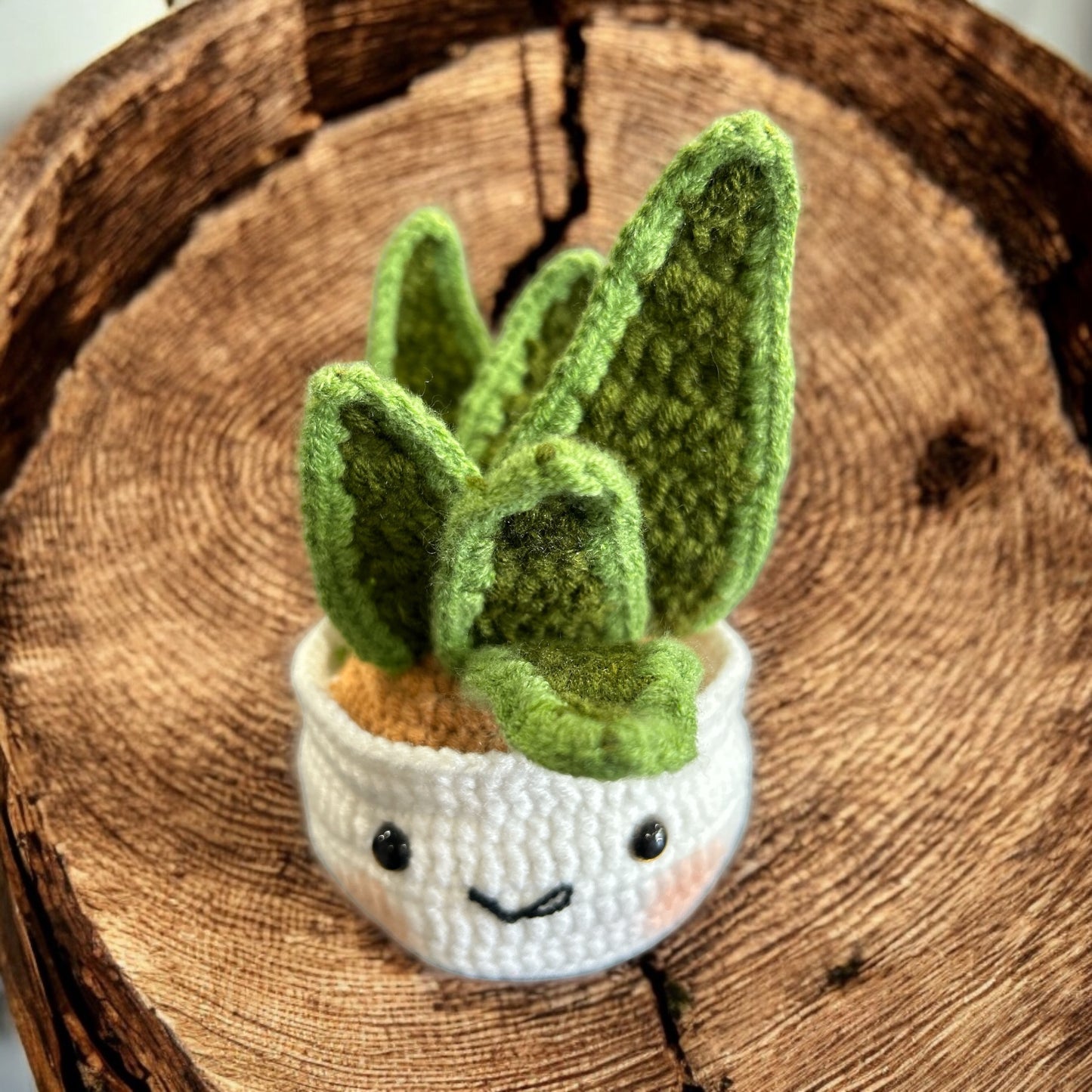 Crochet amigurumi plant