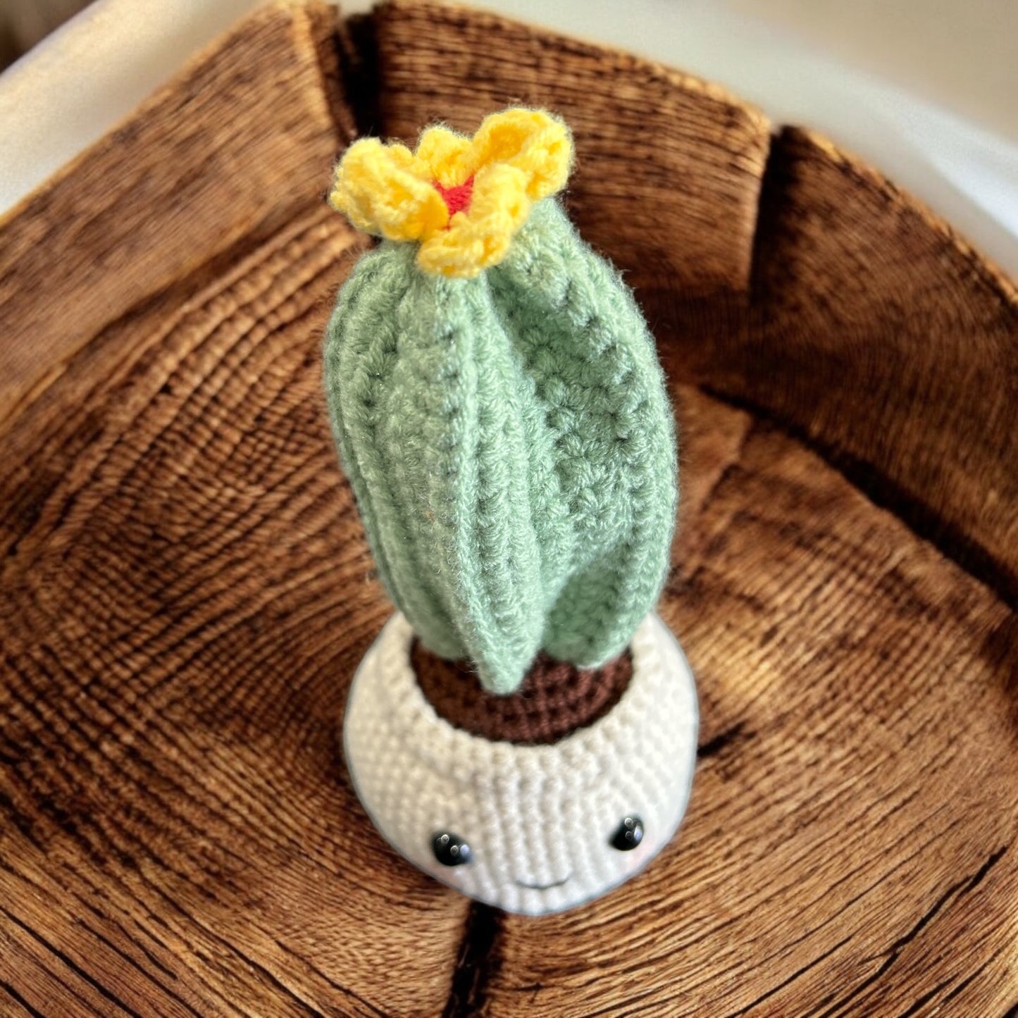 Crochet cactus