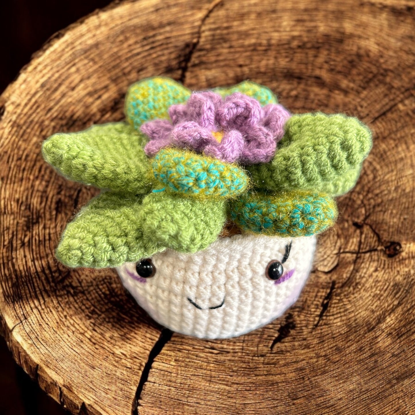 Crochet Amigurumi plant