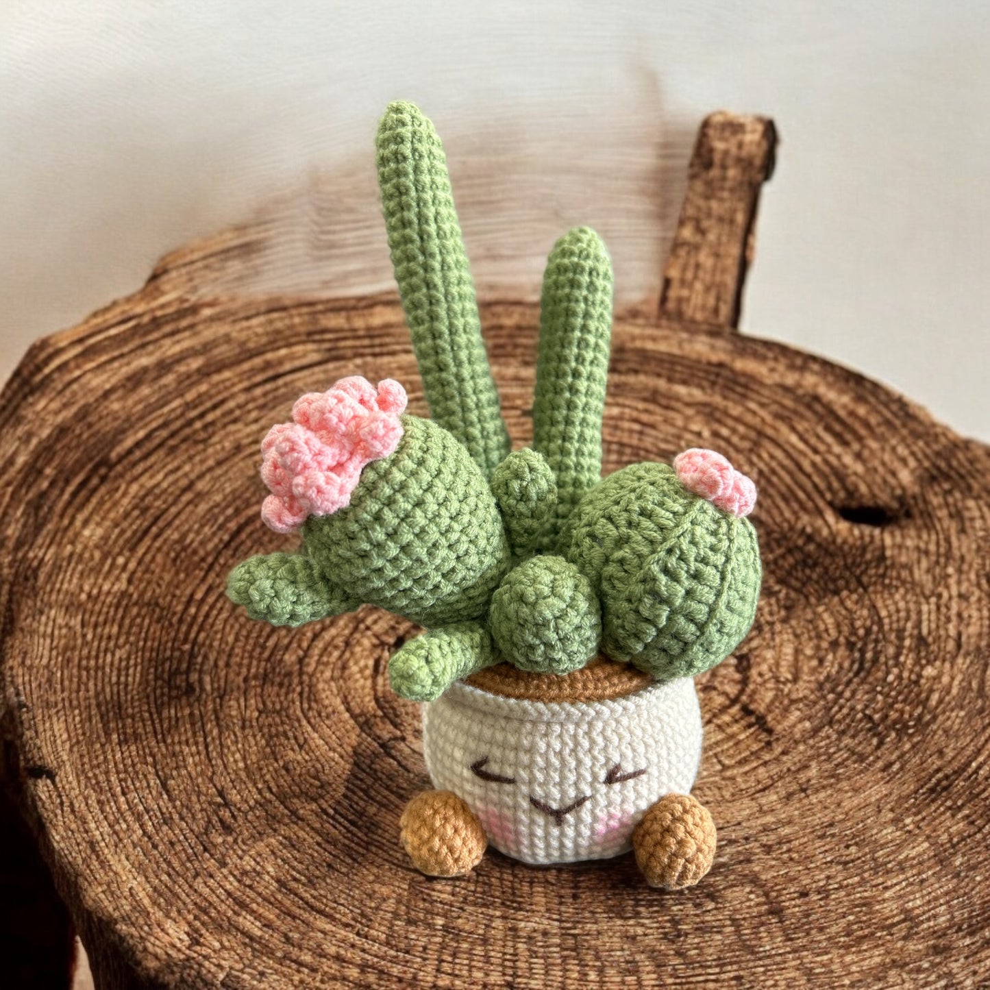 Crochet amigurumi cactus